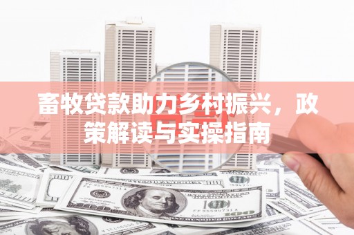 永善畜牧贷款助力乡村振兴，政策解读与实操指南