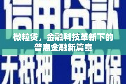 永善微粒贷，金融科技革新下的普惠金融新篇章