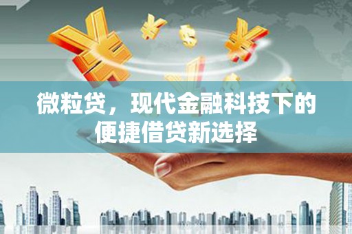 永善微粒贷，现代金融科技下的便捷借贷新选择