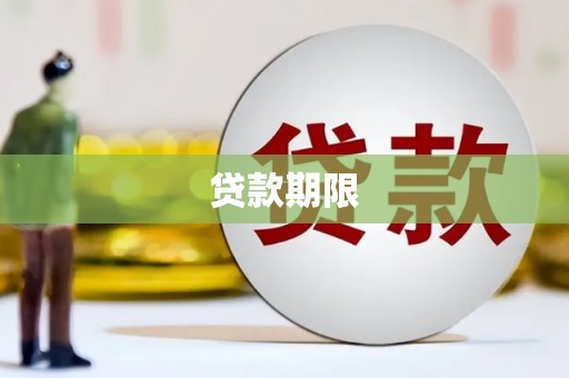 永善贷款期限