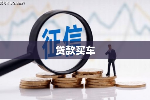 永善贷款买车