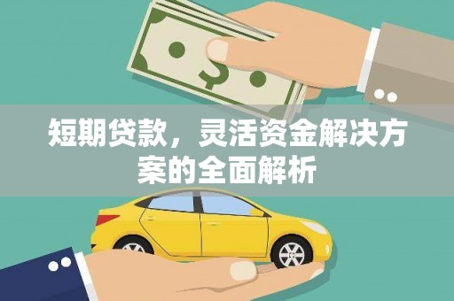 永善短期贷款，灵活资金解决方案的全面解析