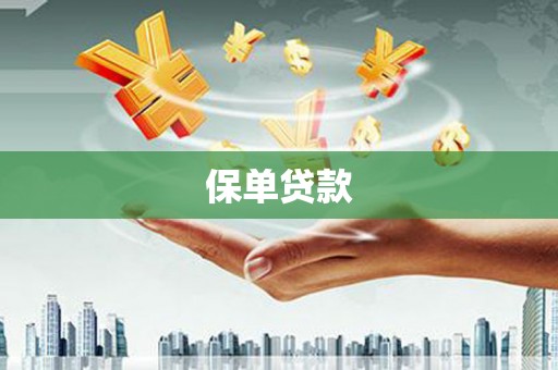永善保单贷款