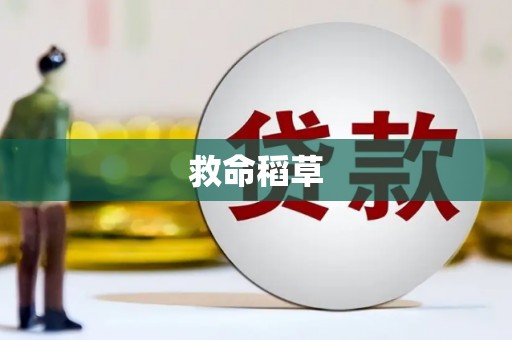 永善救命稻草