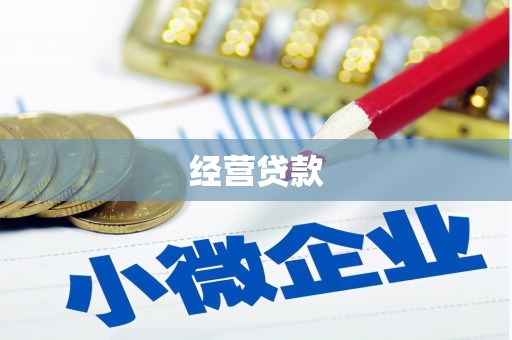 永善经营贷款