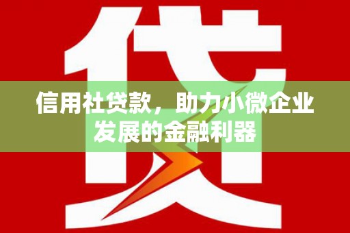 永善信用社贷款，助力小微企业发展的金融利器