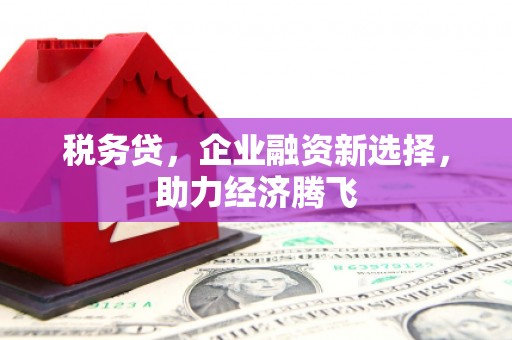 永善税务贷，企业融资新选择，助力经济腾飞