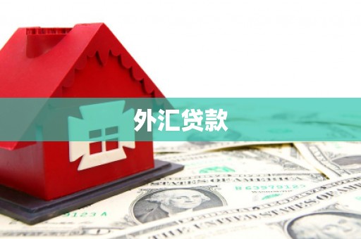 永善外汇贷款