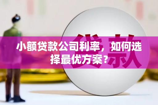 永善小额贷款公司利率，如何选择最优方案？