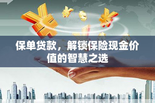 永善保单贷款，解锁保险现金价值的智慧之选
