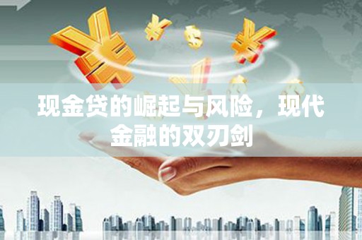 永善现金贷的崛起与风险，现代金融的双刃剑