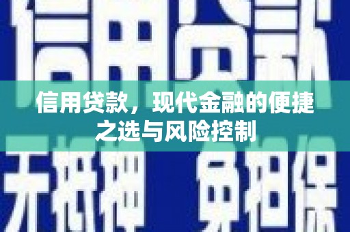 永善信用贷款，现代金融的便捷之选与风险控制