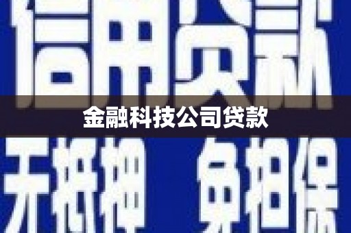 永善金融科技公司贷款