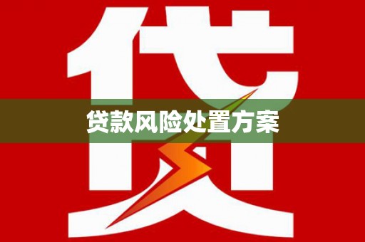 永善贷款风险处置方案