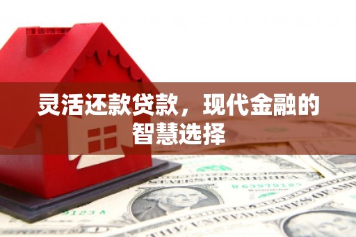 永善灵活还款贷款，现代金融的智慧选择