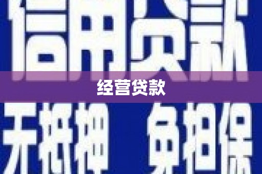 永善经营贷款
