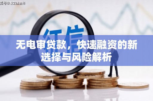 永善无电审贷款，快速融资的新选择与风险解析