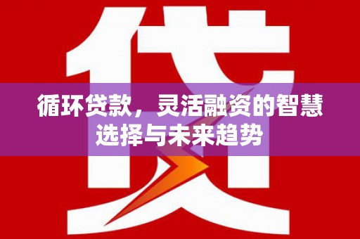 永善循环贷款，灵活融资的智慧选择与未来趋势