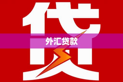 永善外汇贷款
