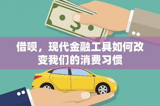 永善借呗，现代金融工具如何改变我们的消费习惯