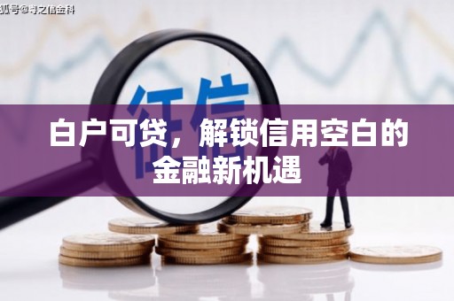 永善白户可贷，解锁信用空白的金融新机遇