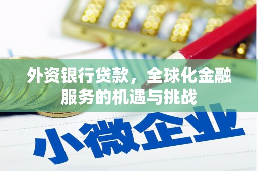 永善外资银行贷款，全球化金融服务的机遇与挑战