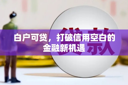 永善白户可贷，打破信用空白的金融新机遇