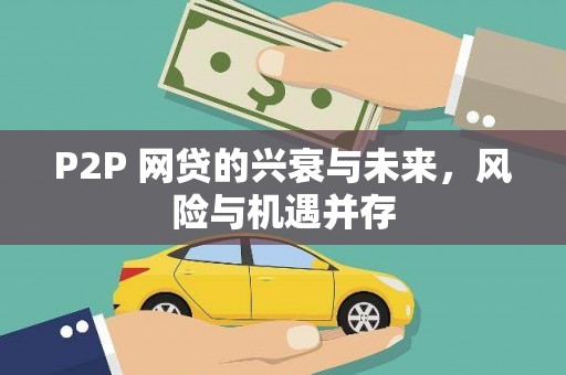 永善P2P 网贷的兴衰与未来，风险与机遇并存