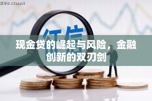 永善现金贷的崛起与风险，金融创新的双刃剑