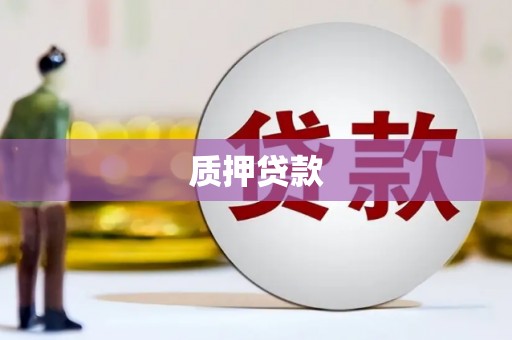 永善质押贷款