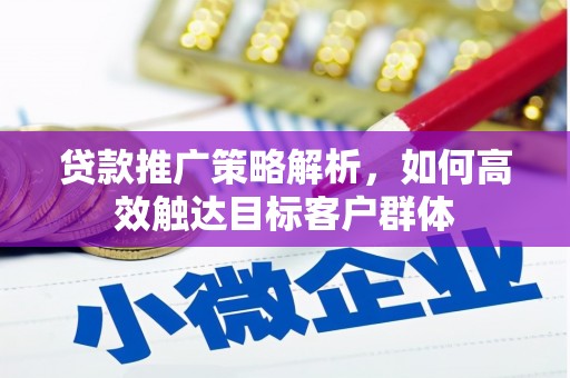 永善贷款推广策略解析，如何高效触达目标客户群体