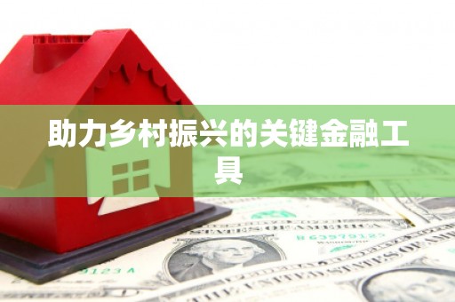 永善助力乡村振兴的关键金融工具