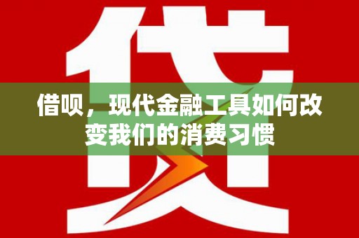 永善借呗，现代金融工具如何改变我们的消费习惯