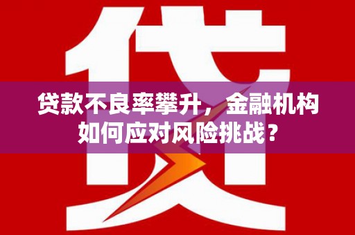 永善贷款不良率攀升，金融机构如何应对风险挑战？