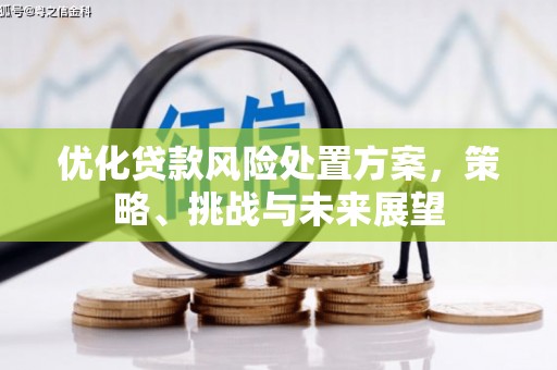 永善优化贷款风险处置方案，策略、挑战与未来展望