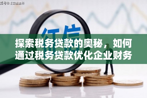 永善探索税务贷款的奥秘，如何通过税务贷款优化企业财务