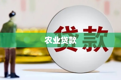 永善农业贷款