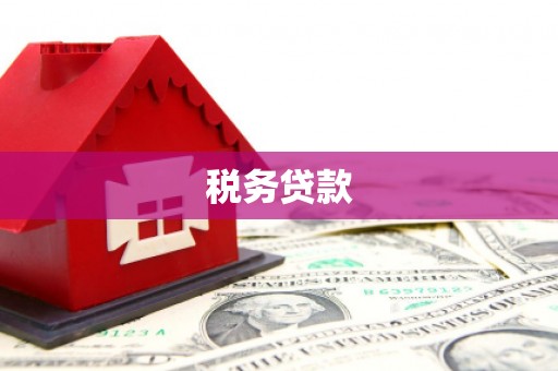 永善税务贷款
