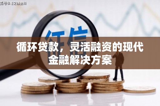 永善循环贷款，灵活融资的现代金融解决方案