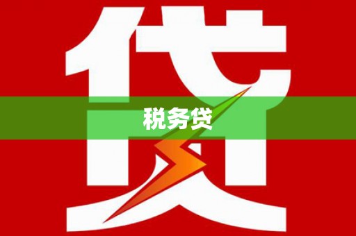 永善税务贷