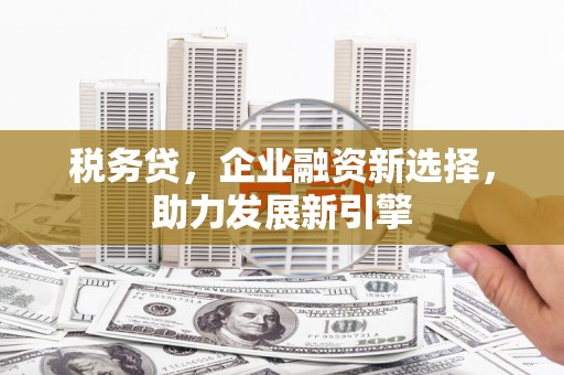 永善税务贷，企业融资新选择，助力发展新引擎