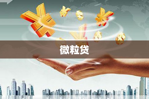 永善微粒贷