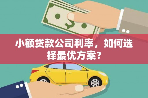 永善小额贷款公司利率，如何选择最优方案？