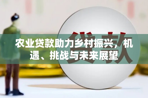 永善农业贷款助力乡村振兴，机遇、挑战与未来展望