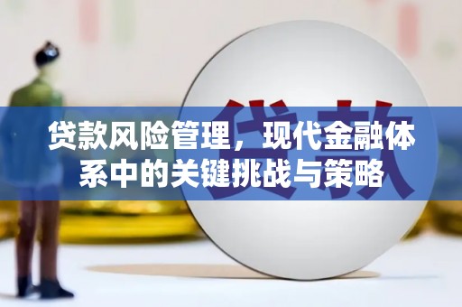 永善贷款风险管理，现代金融体系中的关键挑战与策略