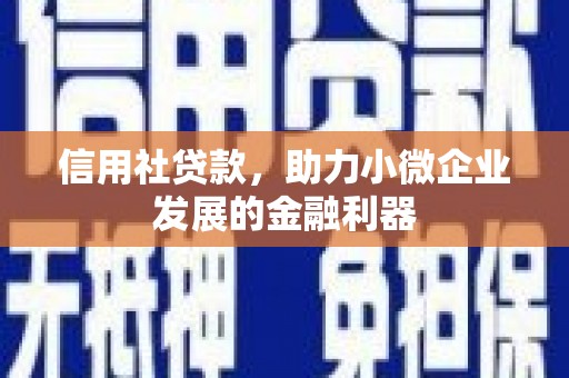永善信用社贷款，助力小微企业发展的金融利器