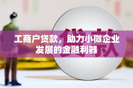 永善工商户贷款，助力小微企业发展的金融利器