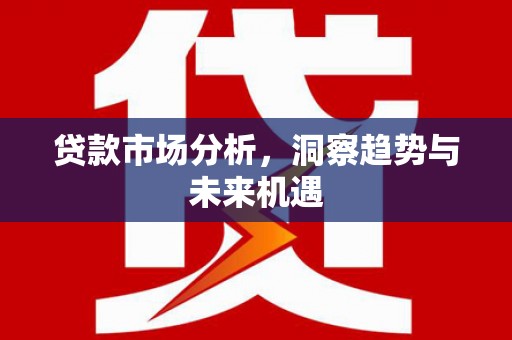 永善贷款市场分析，洞察趋势与未来机遇