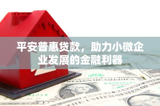 永善平安普惠贷款，助力小微企业发展的金融利器