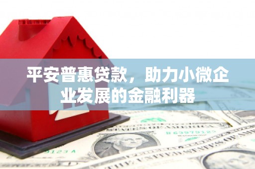 永善平安普惠贷款，助力小微企业发展的金融利器